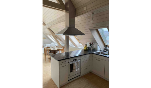 felpa74 luminoso y ventilado seefeld ático loft 3