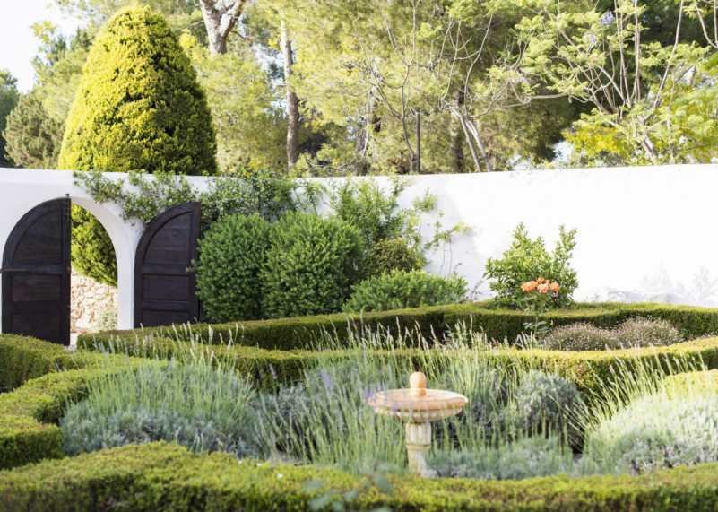 428 17 dic 2018 10 23 32 medio 2x