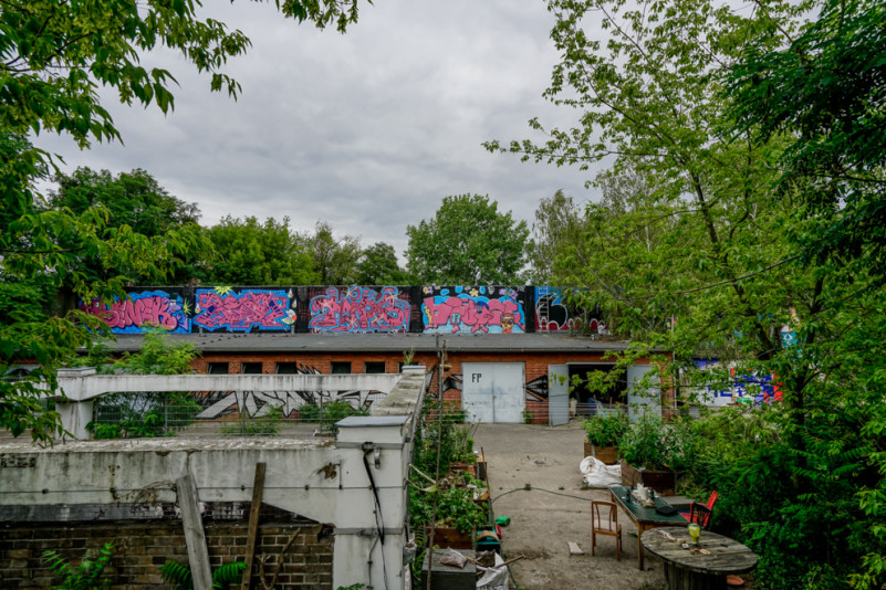 dsc9623