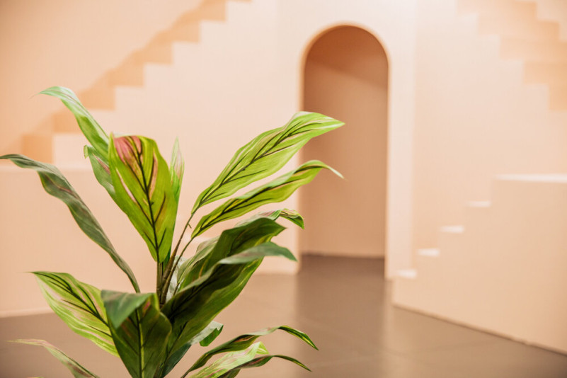 plus74 rose petal nude studio la location10