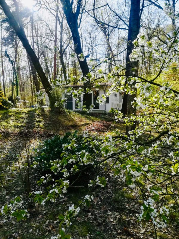 plush74 datschen bungalow near potsdam 4