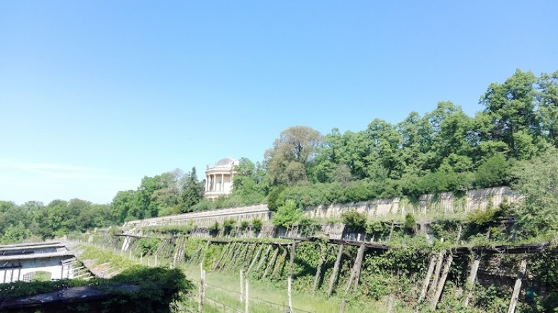plush74 film photo event location berlin germany vineyard estate 1