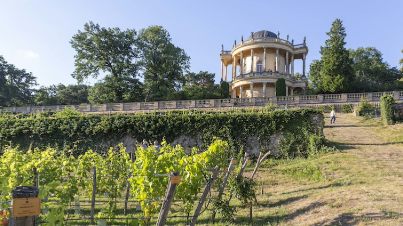 plush74 film photo event location berlin germany vineyard estate 3 (1)