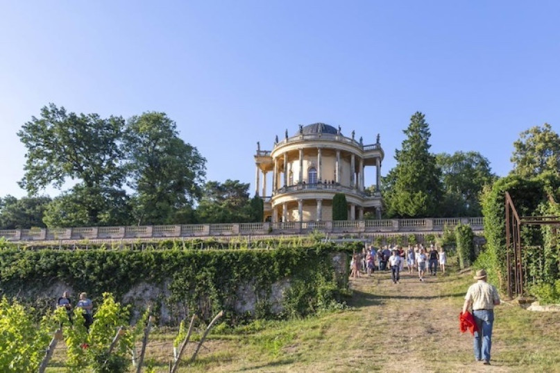 plush74 film photo event location berlin germany vineyard estate 8