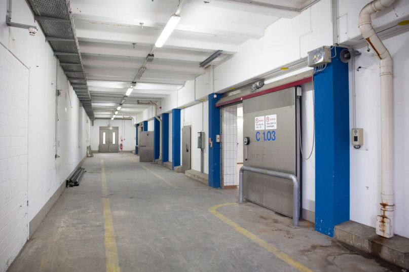 plush74 gewerbepark industrial halls 13