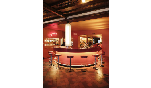 pluche74 engadin art hote 25 (3)