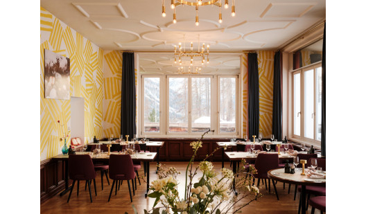 pluche74 engadin art hote 55