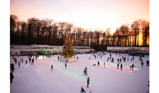 felpa74 pista de hielo zurich 1