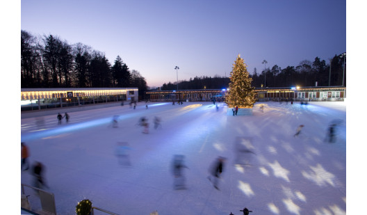 felpa74 pista de hielo zurich 3