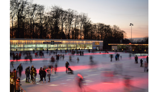 felpa74 pista de hielo zurich 4