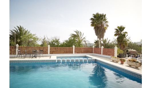 felpa74 ubicación ibiza casa jardín campo104