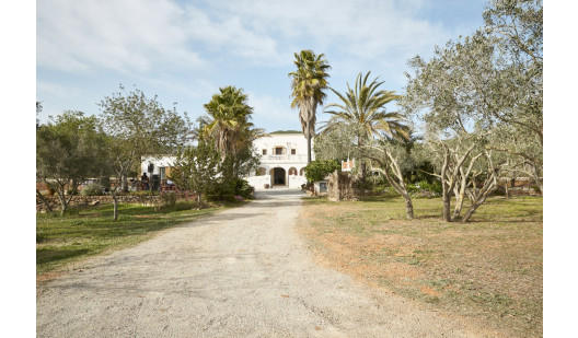 felpa74 ubicación ibiza casa jardín campo122