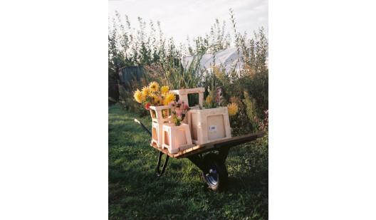 plush74 marsano feld 2(1)