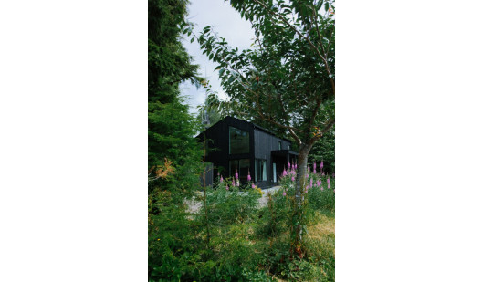 plush74 foto film evento location tofino ocean forest vancouver island casa privata 7