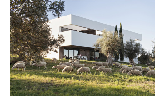 peluche74 noleggio foto film evento villa portogallo campagna00004