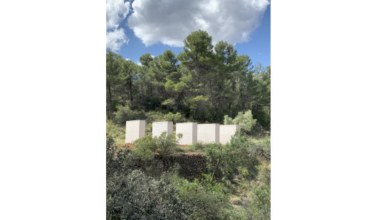 plush74 Auswahl ssgs 3