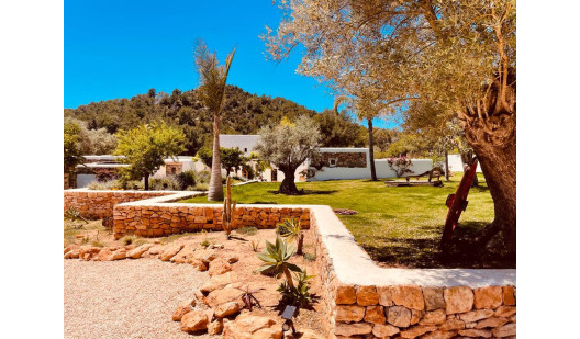 pluche74 villa met zwembad ii ibiza 4