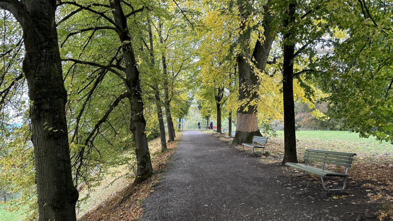 peluche74 location foto film evento location scouting svizzera park6 (1)