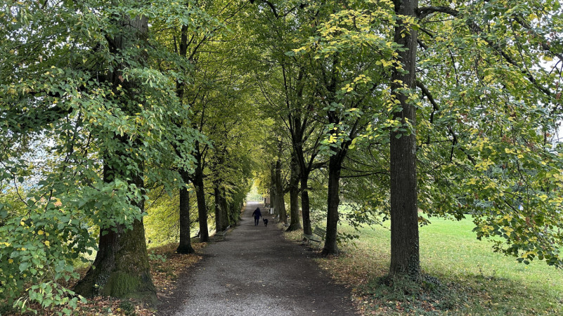 peluche74 location foto film evento location scouting svizzera park8 (1)