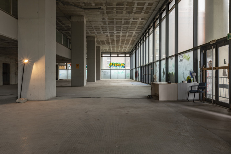 peluche74 soffitta manuel1 1