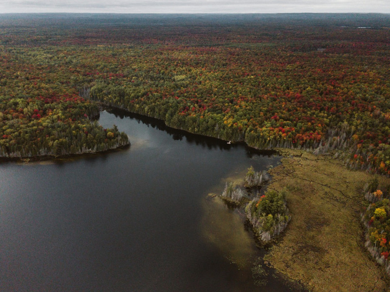 plush74 Foto Film Location Toronto See Haus Kanada rustikal Wald privat Haus 12