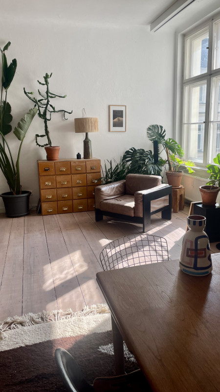 IMG_6057 5c9510584768768ddb453b90767ff8f1