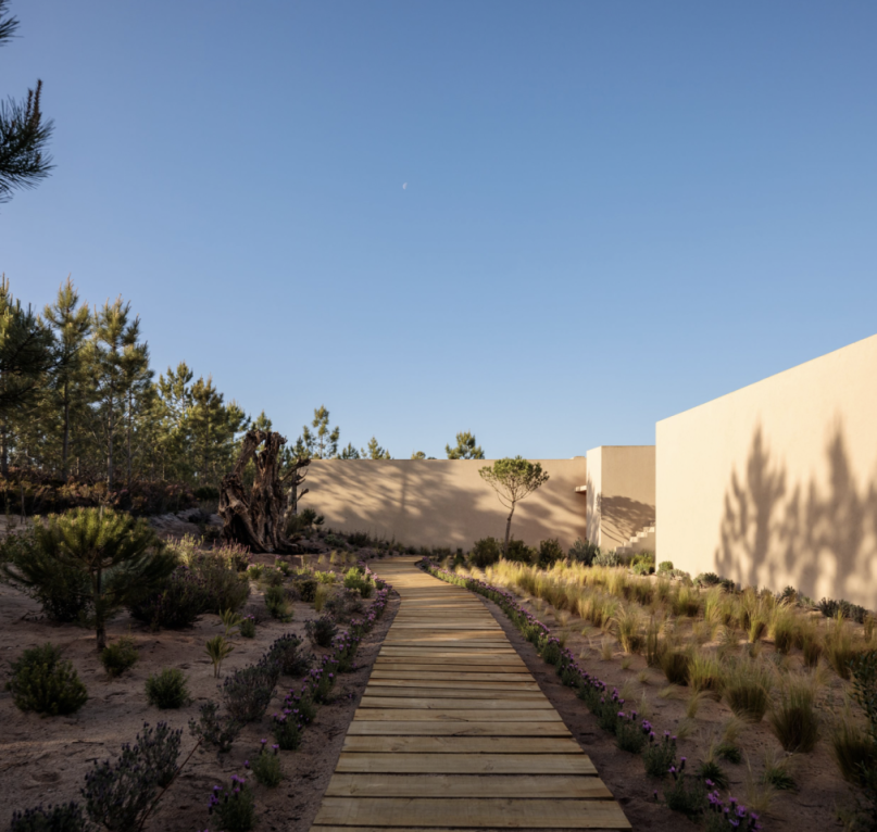 plush74 creative community portugal 24