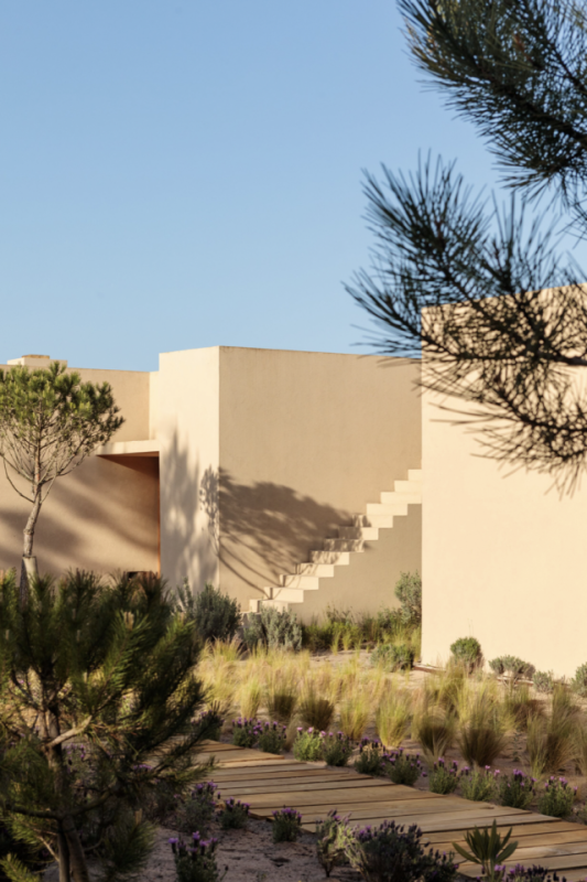 plush74 creative community portugal 30