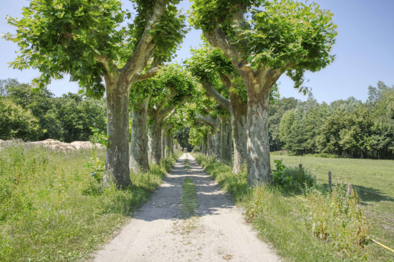 felpa74 mostrador industrial refugio 63 (1)