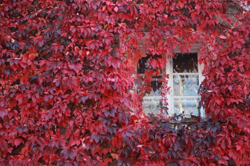 plush74 location scouting film photo location house moorenweis yoga scandinavian wood119