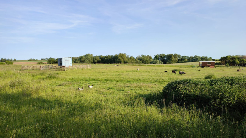 peluche74 casa di campagna moderna 10