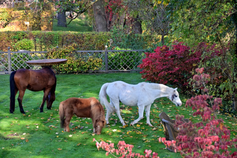 peluche74 tenuta naturale fuori berlino 27