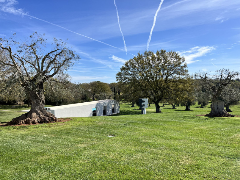 plush74 villa ostuni 13