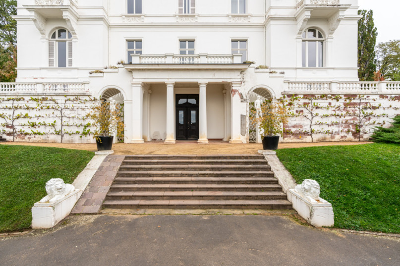 felpa74 villa blanca 22 (1)