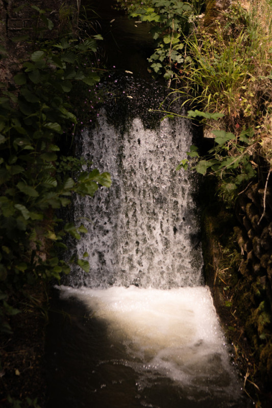 peluche74 le moulin 52