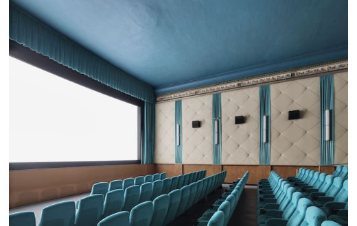 plush74 mid century indoor cinema 1
