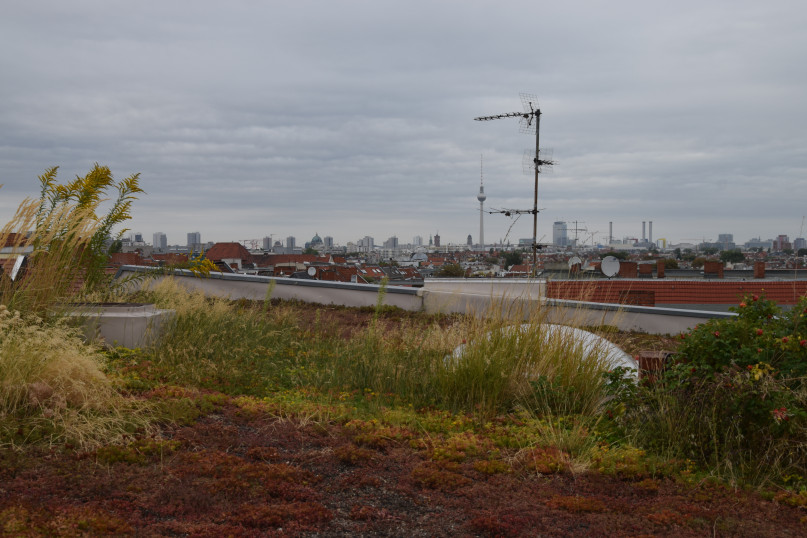 DSC_1274 4337cc097fd40ec3ea4b926d41b36d27