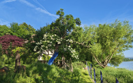 GIARDINO PRIVATO IN ARGOVIA