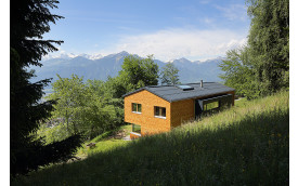 SHINGLE HOUSE