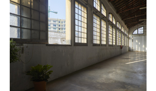 peluche74 casa antoni1 1