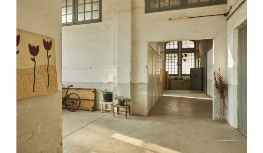 peluche74 casa antoni1 3