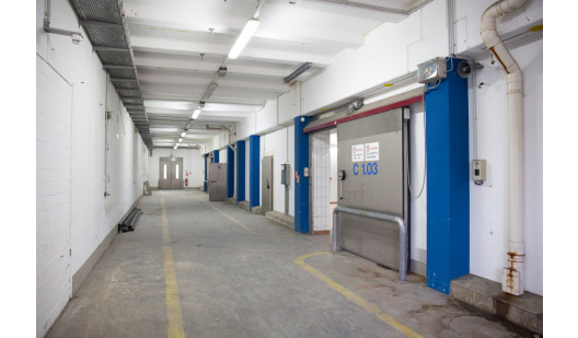plush74 gewerbepark industrial halls 13