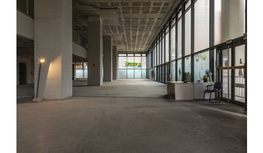 peluche74 soffitta manuel1 1