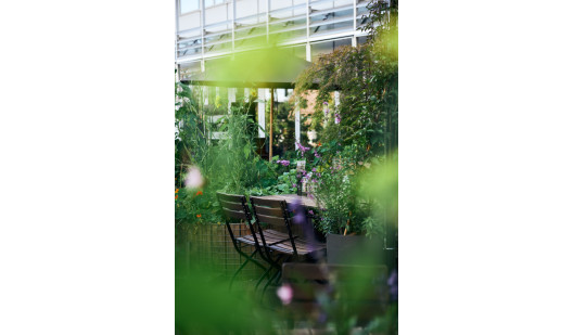 plush74 urban garden dining 5