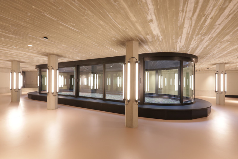 felpa74 achtberlin atrium 1