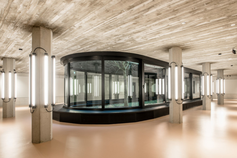 felpa74 achtberlin atrium 2