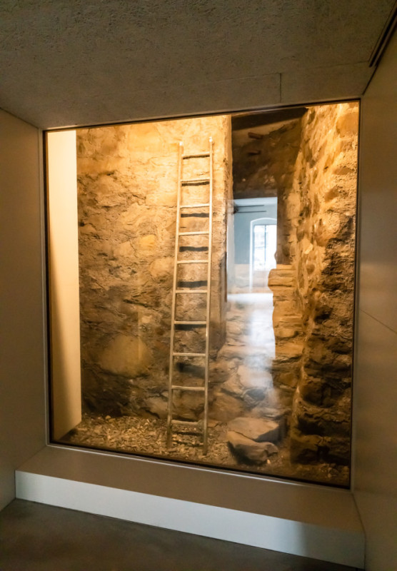 felpa74 centro cultural alpino 3