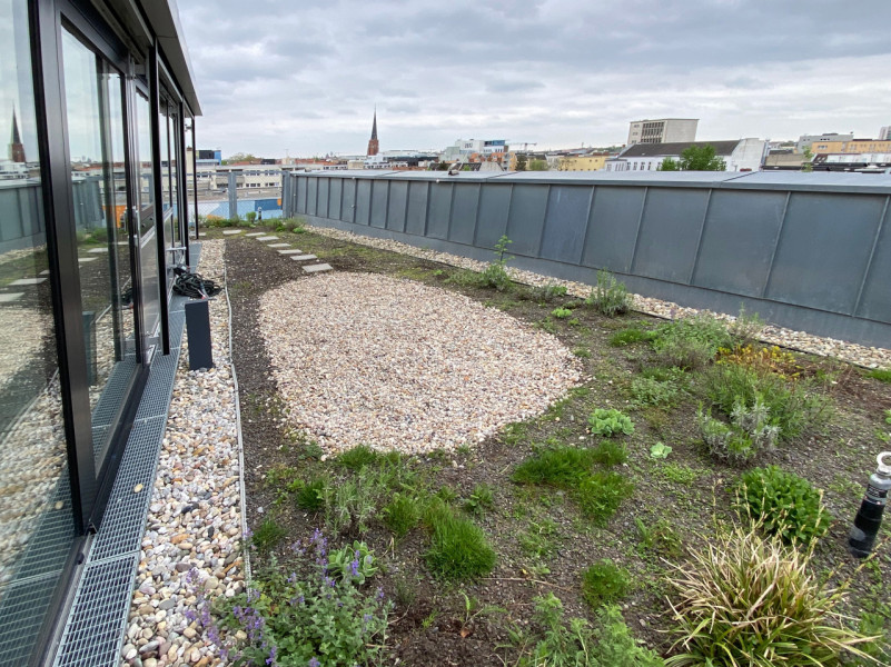 felpa74 arquitectos ático 12 (6)