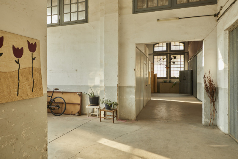 peluche74 casa antoni1 3