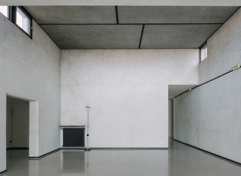 plüsch74 coleottero1 10 (3)